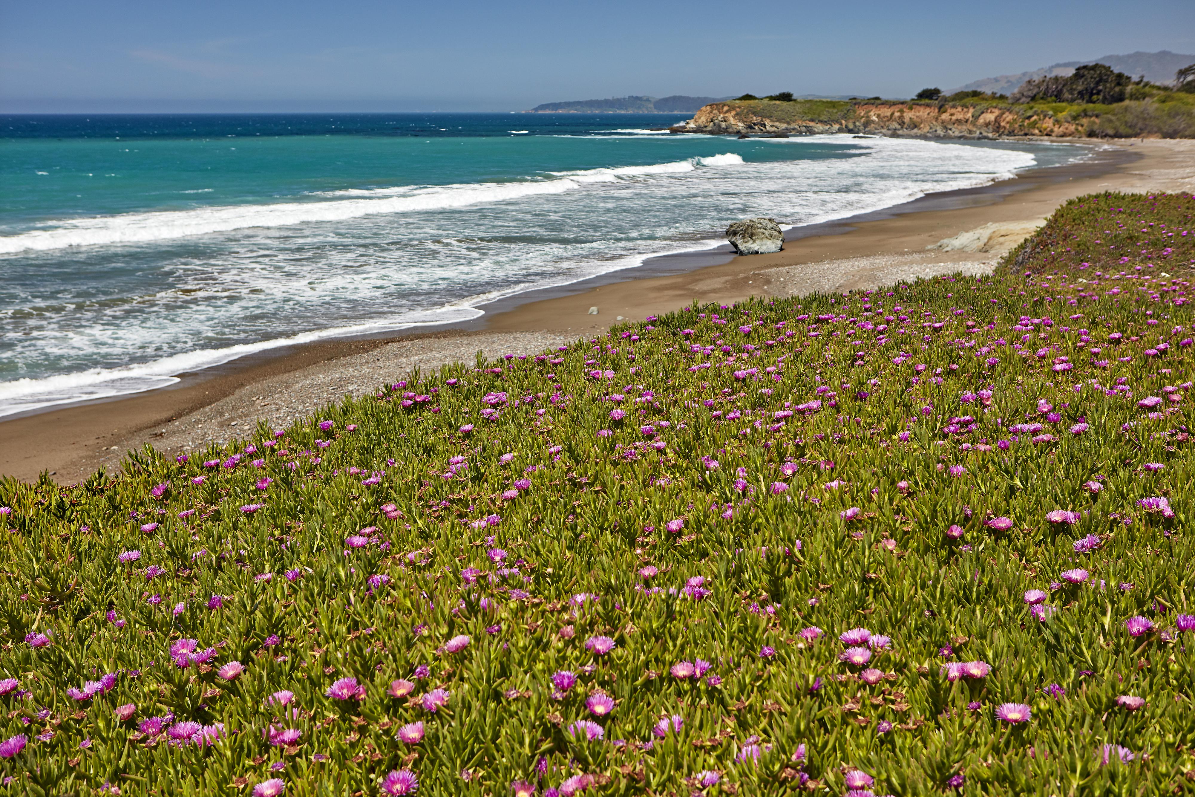 Cavalier Oceanfront Resort San Simeon Kültér fotó